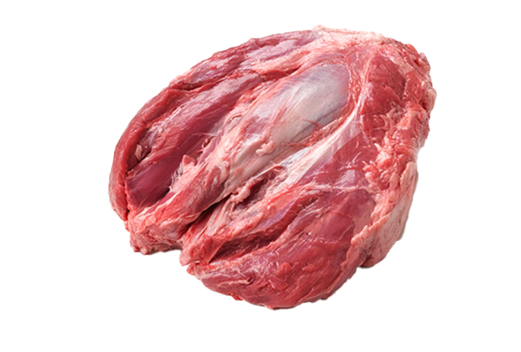 Digital Flexor